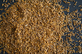 Getting Started With Kernza