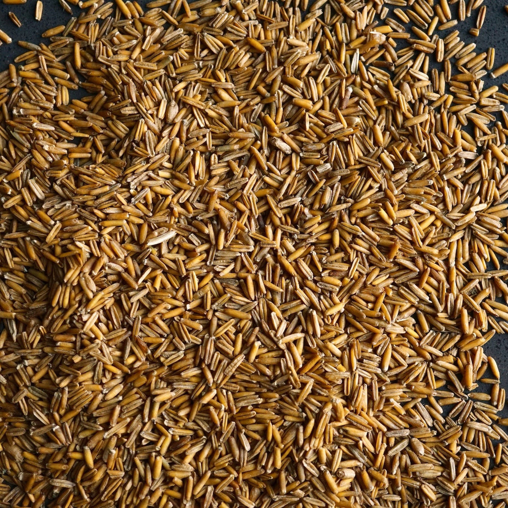 kernza seed for planting 25 Lbs Kernza Whole Grain ($4.50/Lb) – Perennial Pantry