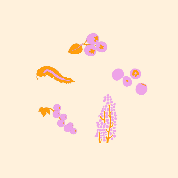 Spices and Herbs