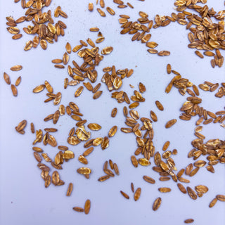 10 Lbs Flaked Kernza ($5.50/lb)